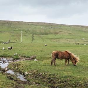 Grand Shetland Adventure Knits by Gudrun Johnston & Mary Jane Mucklestone