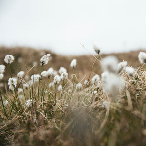 Grand Shetland Adventure Knits by Gudrun Johnston & Mary Jane Mucklestone