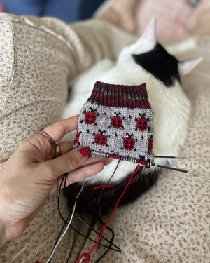 Joyful Colorwork Socks by Charlotte Stone