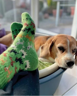 Joyful Colorwork Socks by Charlotte Stone