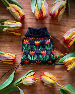 Charming Colorwork Socks by Charlotte Stone